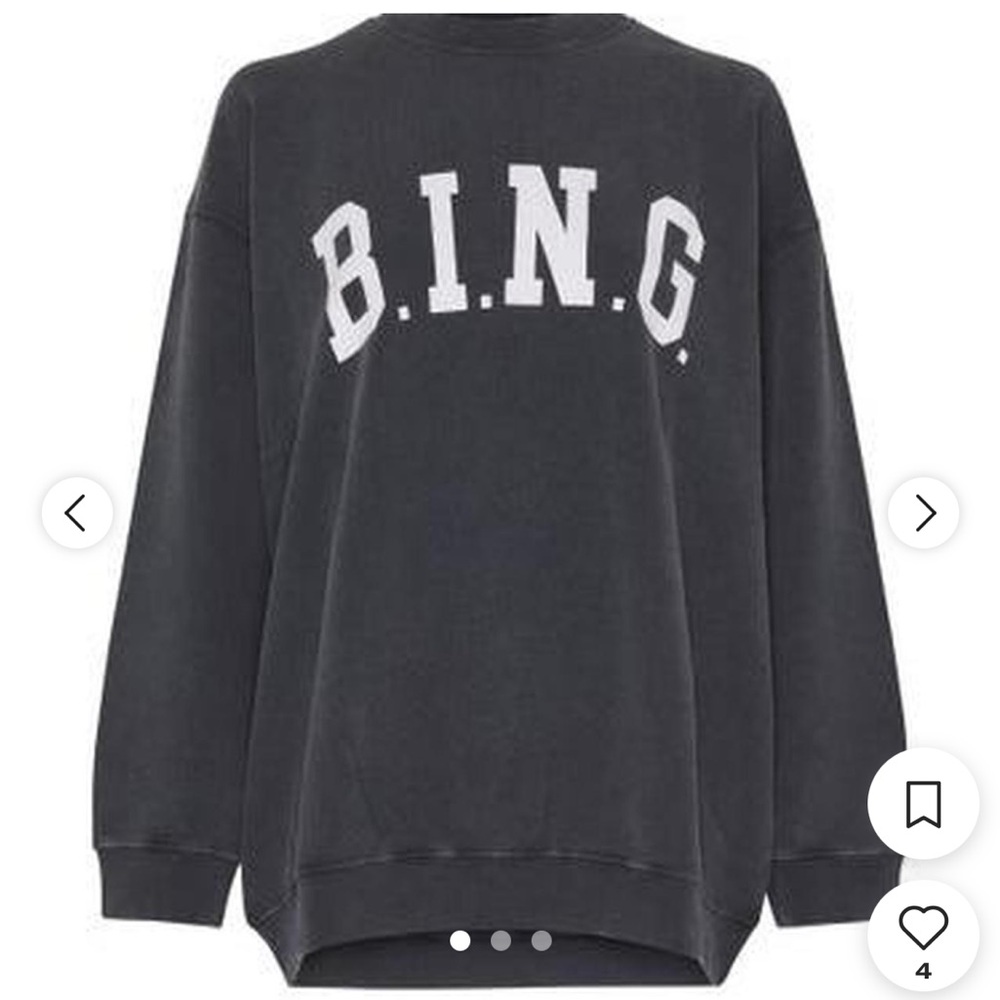 Anine bing sweatshirt